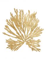 Pacific Sea Mosses II Gold #49985-11x14 Pacific Sea Mosses II Gold #49985-11x14