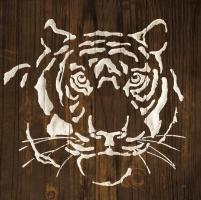 White Tiger on Dark Wood #50038 White Tiger on Dark Wood #50038