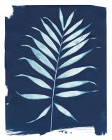 Nature By The Lake - Frond I #50093 Nature By The Lake - Frond I #50093