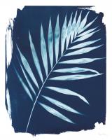 Nature By The Lake - Frond II #50094 Nature By The Lake - Frond II #50094