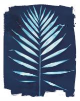 Nature By The Lake - Frond IV #50096 Nature By The Lake - Frond IV #50096