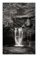 Elakala Falls West II BW #50164 Elakala Falls West II BW #50164