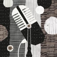 Rock N Roll Mic Neutral #50185 Rock N Roll Mic Neutral #50185