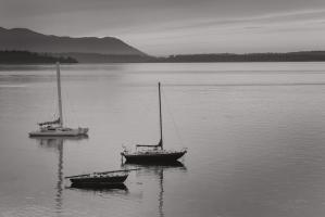 Bellingham Bay BW #50226 Bellingham Bay BW #50226