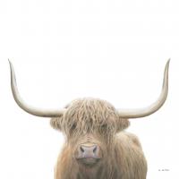 Highland Cow Sepia Sq #50231 Highland Cow Sepia Sq #50231