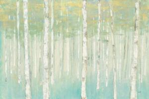 Birches at Sunrise #50234 Birches at Sunrise #50234
