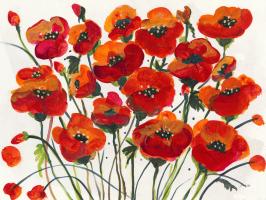 Poppin Up Poppies #50247 Poppin Up Poppies #50247