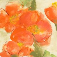 Tangerine Poppies I #50257