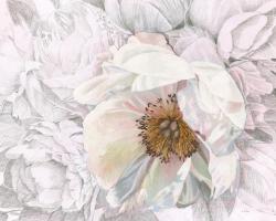 Blooming Sketch Crop #50318-10x8 Blooming Sketch Crop #50318-10x8