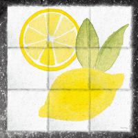 Citrus Tile VI Black Border #50553 Citrus Tile VI Black Border #50553