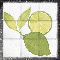 Citrus Tile VII Black Border #50538 Citrus Tile VII Black Border #50538