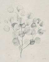 Soft Summer Sketches II Light #50557 Soft Summer Sketches II Light #50557