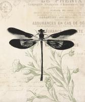 Vintage Insects #50602 Vintage Insects #50602