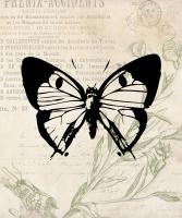 Vintage Insects Two #50603 Vintage Insects Two #50603