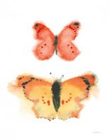 Watercolor Butterflies IV #50704