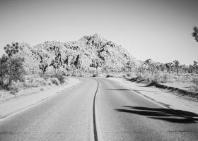 Road Trip I Crop #50737-7x5 Road Trip I Crop #50737-7x5