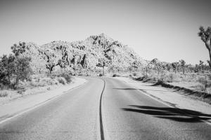 Road Trip I #50737 Road Trip I #50737