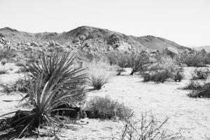 Road Trip II #50738 Road Trip II #50738