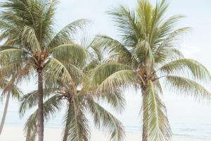 By the Sea II #50750 By the Sea II #50750