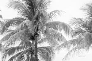 Breezy I #50751 Breezy I #50751
