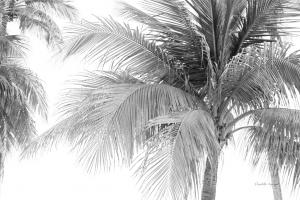Breezy III #50753 Breezy III #50753