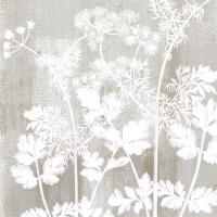Neutral Botanical Square 2 #50951 Neutral Botanical Square 2 #50951