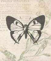 Lightened Vintage Insects Two #50954 Lightened Vintage Insects Two #50954