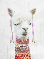Dressed Llama #50959
