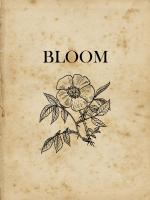 Bloom #50971 Bloom #50971