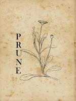 Prune #50972 Prune #50972