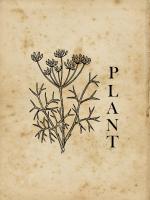 Plant #50973 Plant #50973