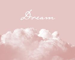 Blush Pink Dream #51008