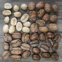 Coffee Beans 1 #51069 Coffee Beans 1 #51069