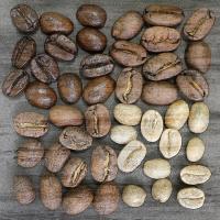 Coffee Beans 3 #51071