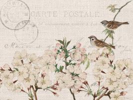Summer Song 5 #51149 Summer Song 5 #51149
