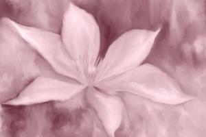 Blush Petals #51166