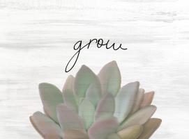 Grow #51173 Grow #51173