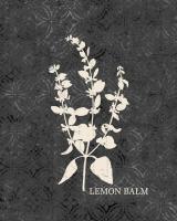 Fresh Lemon Balm #51177 Fresh Lemon Balm #51177