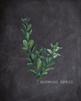 Blackboard Botanical 1 #51180 Blackboard Botanical 1 #51180