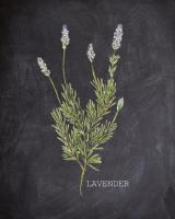 Blackboard Herbs 1 #51183 Blackboard Herbs 1 #51183