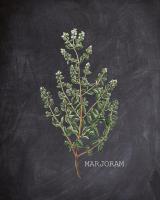 Blackboard Herbs 3 #51185 Blackboard Herbs 3 #51185