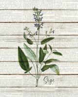 Sage #51189 Sage #51189