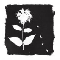 Nature by the Lake Flowers II Black #51200 Nature by the Lake Flowers II Black #51200