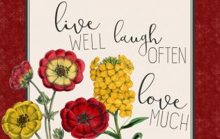 Live Well 1 #51206 Live Well 1 #51206