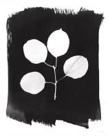 Nature by the Lake Leaves II Black #51206 Nature by the Lake Leaves II Black #51206