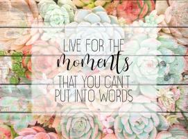 Live for the Moments #51236 Live for the Moments #51236
