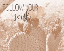Follow Your Soul 1 #51248