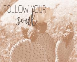 Follow Your Soul 1 #51248 Follow Your Soul 1 #51248