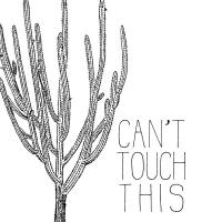 Cant Touch #51311 Cant Touch #51311