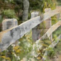Wildflower Fence Line #51321 Wildflower Fence Line #51321